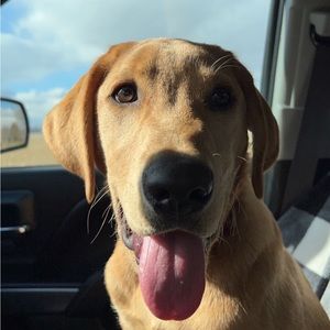 Meet your Posher, Ethan